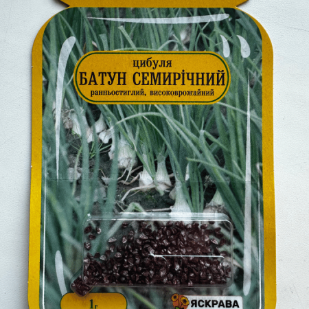 Батун Семирічний 1г.