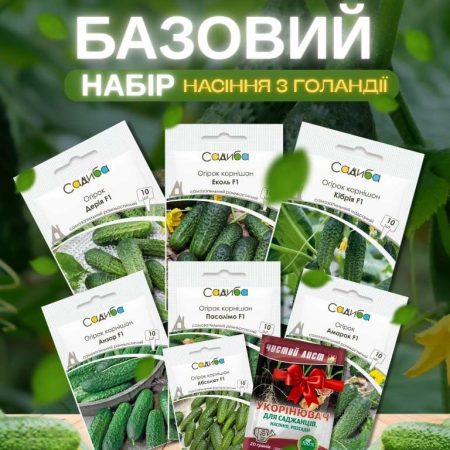 Огірки Набір Базовий(Голандія)