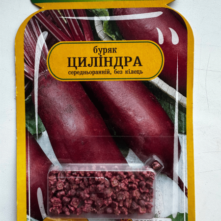 Буряк Циліндра 90-110 шт