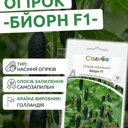 Огірок Бйорн F1 10 шт.