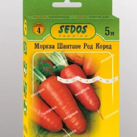 Морква Шантане Ред Кор на стрічці 5 м.