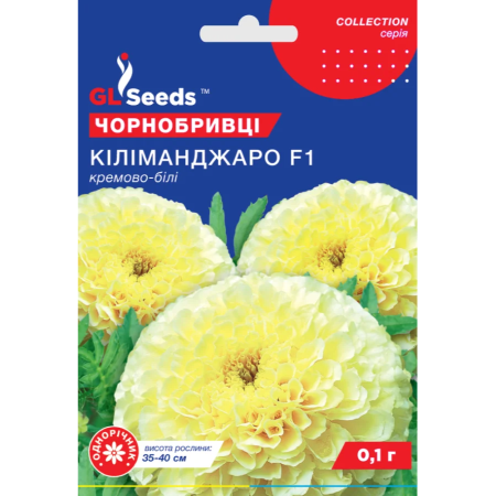 Чорнобривці Кіліманджаро