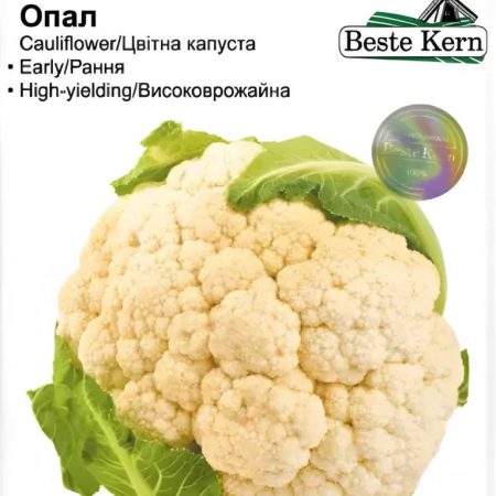 Капуста цвітна Опал 20 шт.