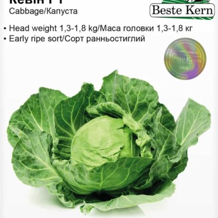 Капуста білокачанна Кевін F1 20 шт.