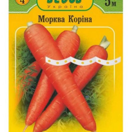 Морква Коріна на стрічці 5 м.