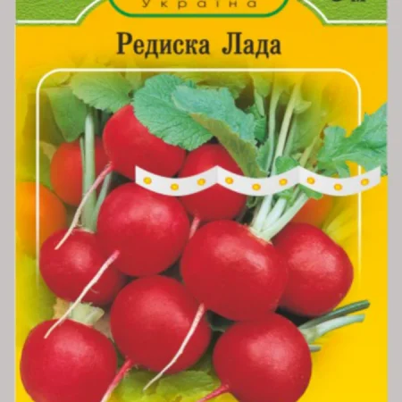 Редиска Лада 5 м.