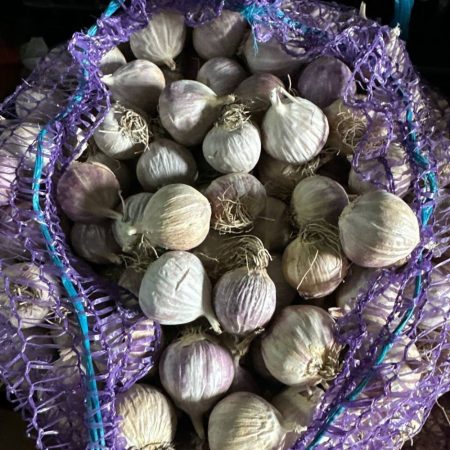 Часник Любаша