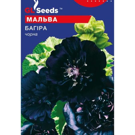 Мальва Багіра чорна