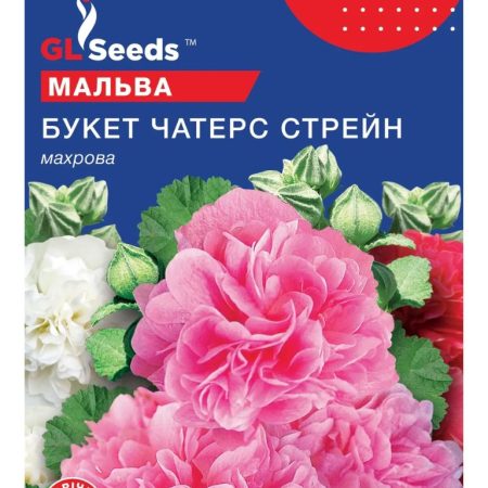 Мальва Букет Чатерз Стрейн