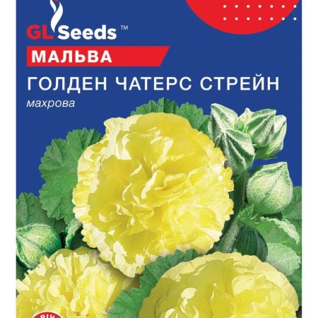 Мальва Голден Чатерз Стрейн