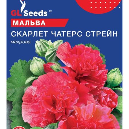 Мальва Скарлет Чатерз Стрейн