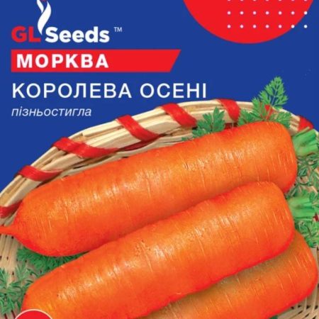 Морква Королева осені 20 г.
