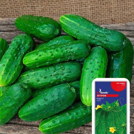 Огірок Ізід F1