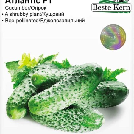 Огірок Атлантіс F1