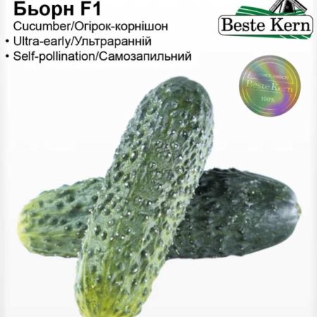 Огірок Бьорн F1