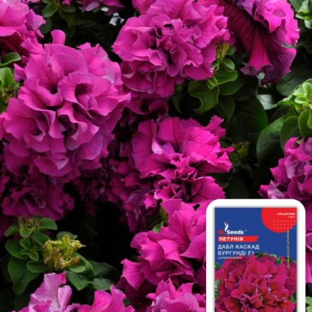 Петунія Дабл Каскад Бургундi (5шт)