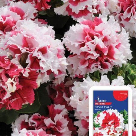 Петунія Пiрует Ред махрова (5шт)