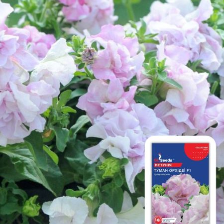 Петунія Туман орхiдей (5шт)