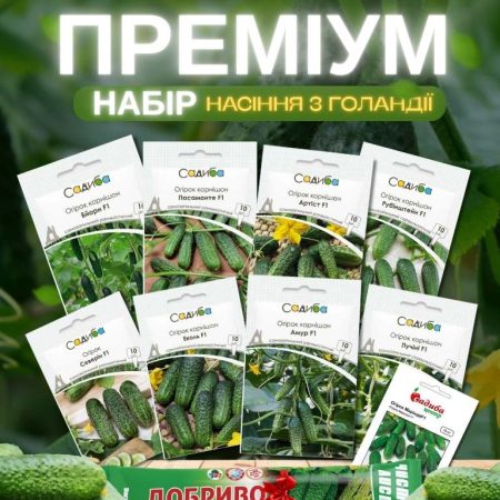 Огірки Набір Преміум(Голандія)