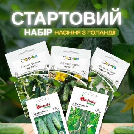 Огірки Набір Стартовий (Голандія)