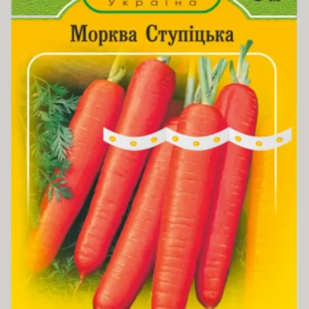 Морква Ступіцька на стрічці 5 м.