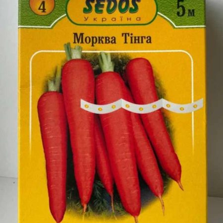 Морква Тінга на стрічці 5 м.