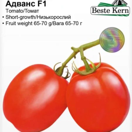Томат Адванс 20 шт.